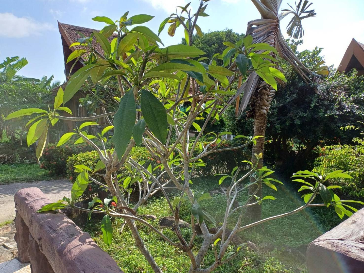 Orchid Home Ko Tao Dış mekan fotoğraf